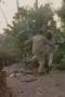Nonton film Power Rangers Wild Force Season 1 Episode 26 terbaru di Dutamovie21