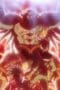 Nonton film Dragon Quest: The Adventure of Dai Season 1 Episode 73 terbaru di Dutamovie21