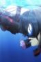 Nonton film Grand Blue Dreaming Season 2 Episode 1 terbaru di Dutamovie21 Nonton film Grand Blue Dreaming Season 2 Episode 1 terbaru di Dutamovie21