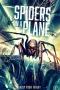 Nonton film Spiders on a Plane (2024) terbaru di Dutamovie21 Nonton film Spiders on a Plane (2024) terbaru di Dutamovie21